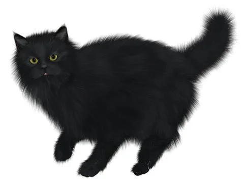 Black cat walking Stock Illustration