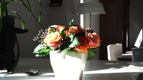 Black cat walking on the table 스톡 동영상 47728835