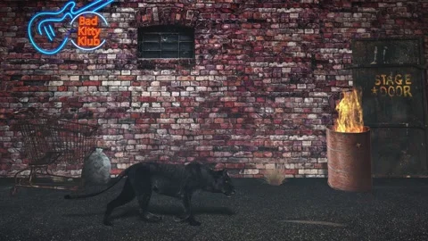 Black Cat Walking Through Dark Alley 4K Loop Stock Footage 310527019