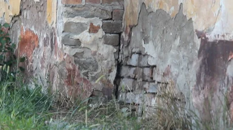 Black Cat on the Wall. Video stock 40690528