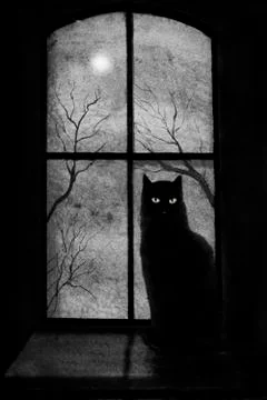 Black cat in the window Stock Illustration