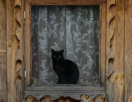 Black cat in the window Stock Photos