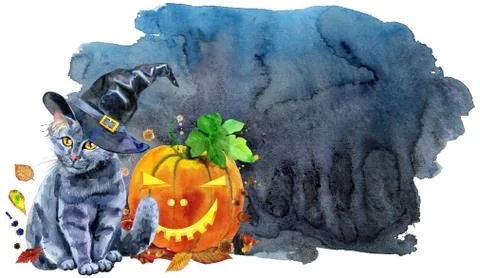 A black cat in a witch's hat next to a pumpkin on black background Stock Illustration