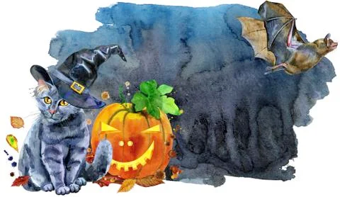 A black cat in a witch's hat next to a pumpkin on black background Stock Illustration