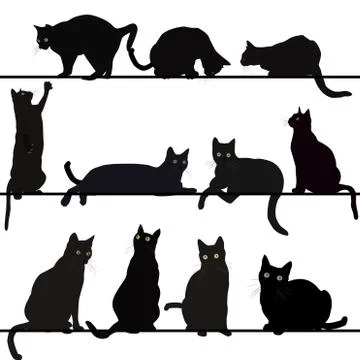 Black cats Stock Illustration