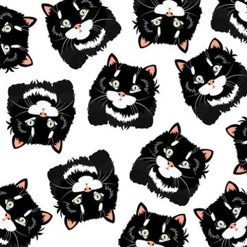 Black cats on white background Illustrazione stock