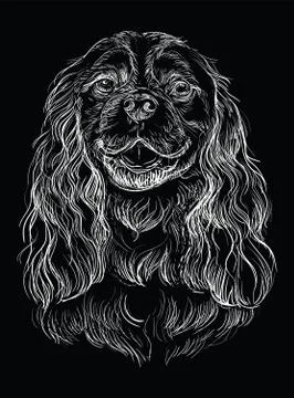 Black Cavalier King Charles Spaniel vector hand drawing portrait Stock Illustration