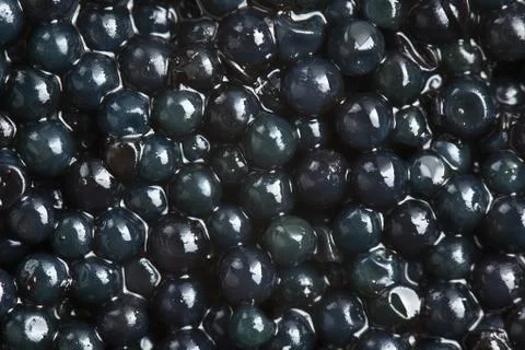 Black caviar background Stock Photos