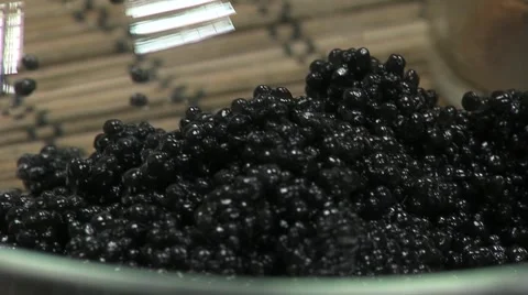 Black caviar Stock Footage 5164346