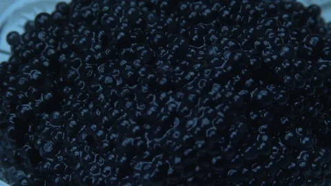 Black caviar 스톡 동영상 80942473