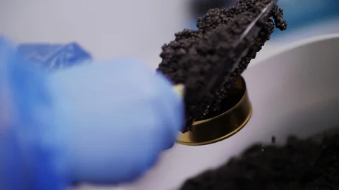 Black caviar Stock Footage 129062972