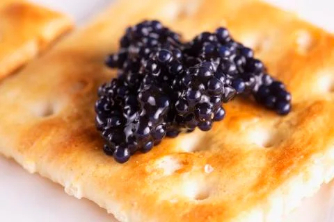 Black caviar over cracker Stock Photos
