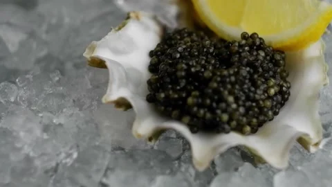 Black caviar in an oyster shell with a small slice of lemon on crushed ice. Stock Footage 170325899
