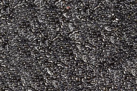 Black caviar Stock Photos