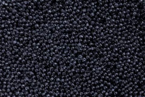 The black caviar 库存照片