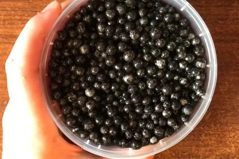 Black caviar in plastic container on the table. Delicious caviar Stock Photos