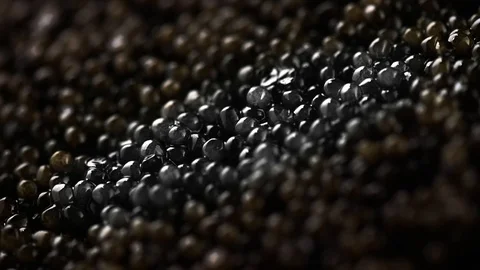 	Black Caviar rotated background. Real natural sturgeon black caviar Stock Footage 107786701