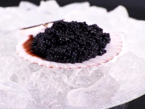 Black caviar in seashell with ice Stock Photos