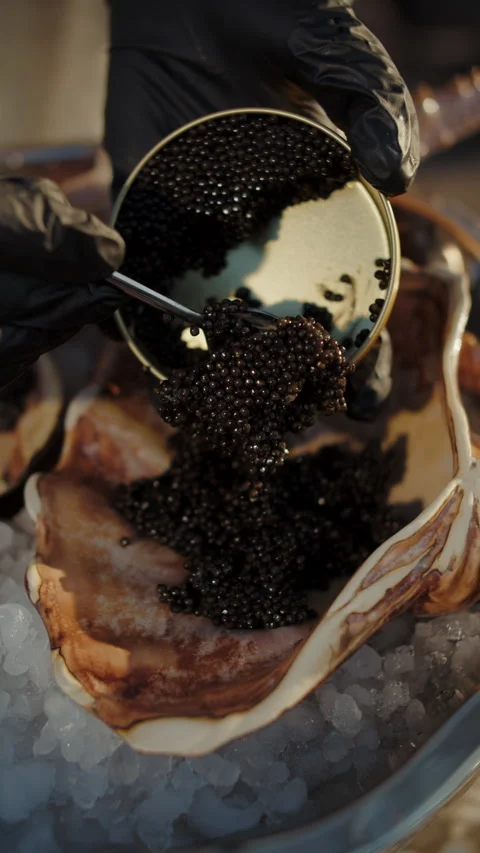 Black caviar served on oyster shell with ice Stock Footage 310006446