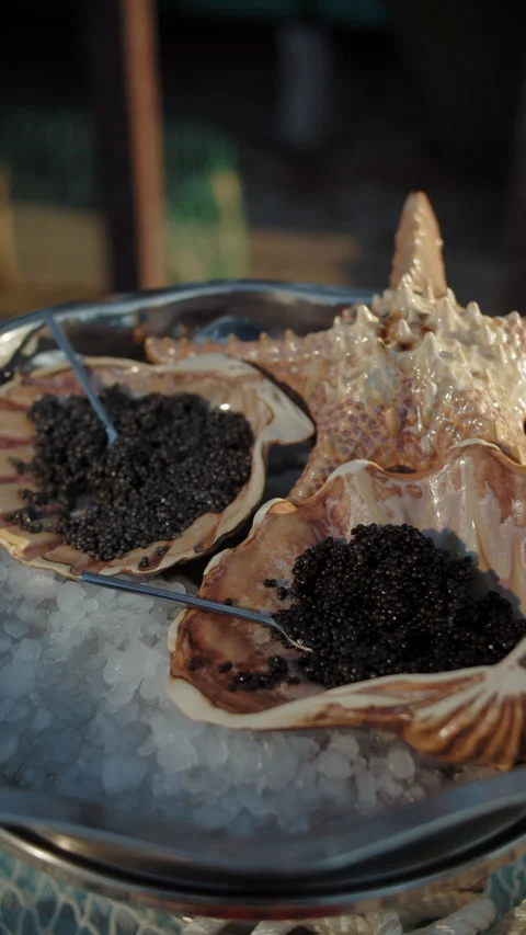 Black caviar served in oyster shells on crushed ice Stock Footage 310006553