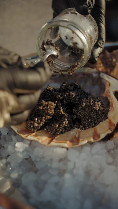 Black caviar served in scallop shell on crushed ice Stock Footage 309568971