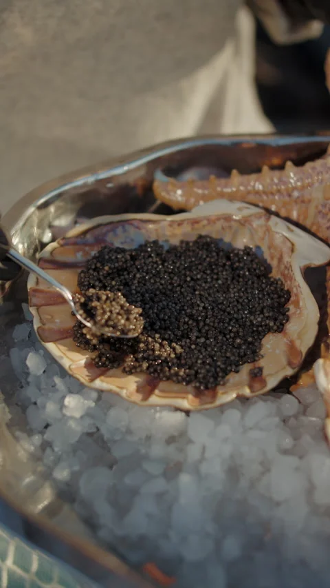 Black caviar served in scallop shell on ice Stock Footage 309569454