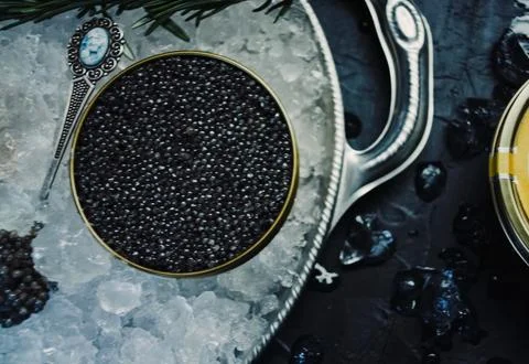 Black caviar served on table. Exquisite delicacy of black sturge Stock Photos