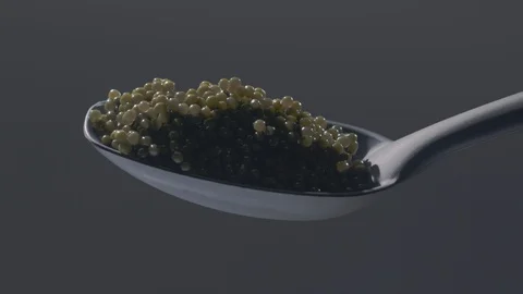 Black Caviar in a spoon on dark background. High quality sturgeon caviar Stock Footage 113976385