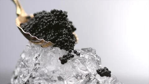 Black Caviar in spoon on ice. High quality natural sturgeon black caviar Stock Footage 285394064