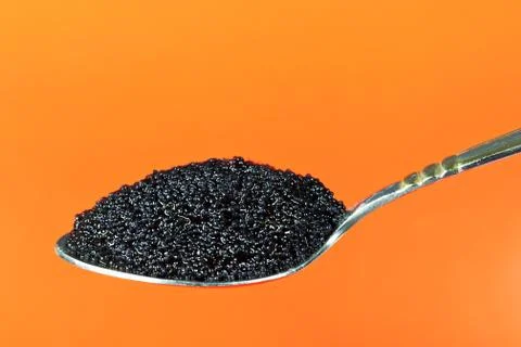 Black caviar in a spoon Stock Photos