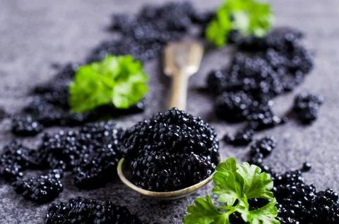Black caviar in the spoon Stock Photos