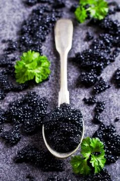 Black caviar in the spoon Stock Photos