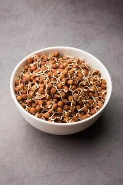 Black chana or brown chickpeas sprouts in a bowl. selective focus Stock Photos