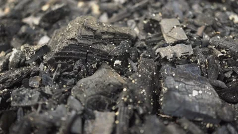 Black Charcoal After Campfire Stock Footage 161969991