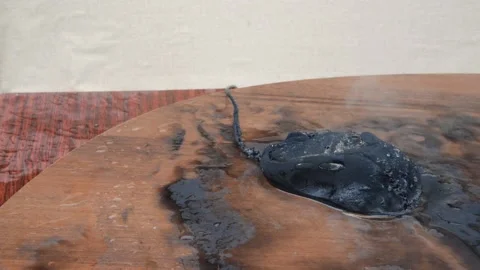 Black charred computer mouse after office fire Video stock 139679464