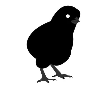Black chick on white Stock Illustration