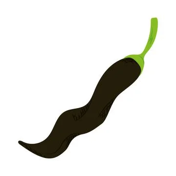 Black chilli pepper vegetable Stock Illustration