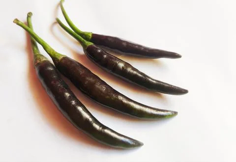 Black chilli. Stock Photos