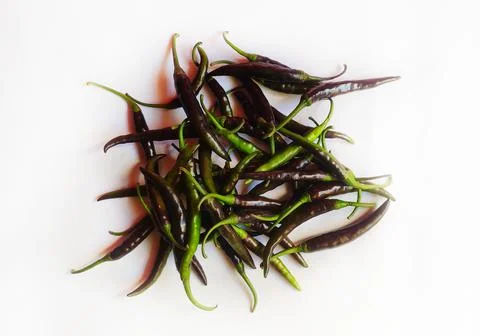 Black chilli Stock Photos