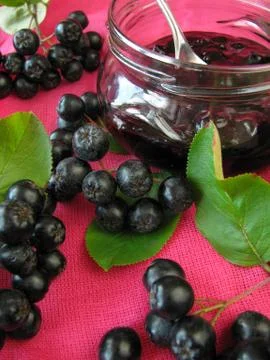 Black chokeberry jam Stock Photos