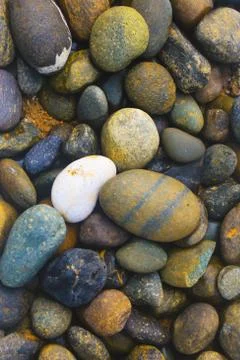 Black circle stone By the beach Photos