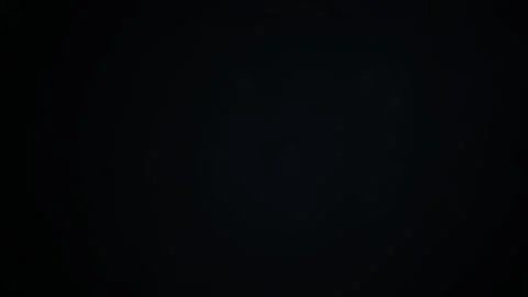 Black Circle on White Background Animation. Stock Footage 333922948