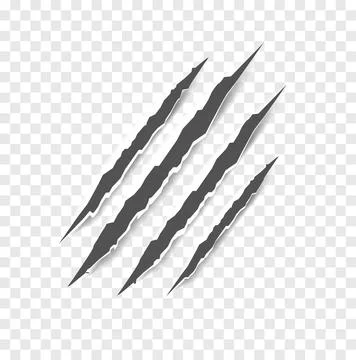 Black claw scratches - vector isolated. Claws scratches animal claw tracks cat Stock Illustration