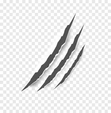 Black claw scratches - vector isolated. Claws scratches animal claw tracks cat Stock Illustration