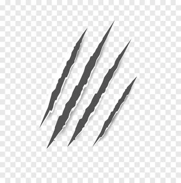 Black claw scratches - vector isolated. Claws scratches animal claw tracks cat Stock Illustration
