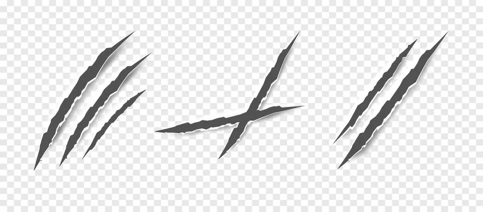 Black claw scratches - vector isolated. Claws scratches animal claw tracks cat Stock Illustration