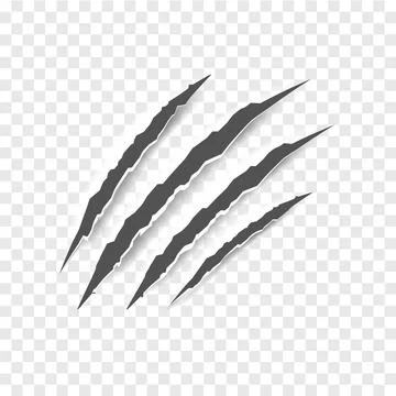 Black claw scratches - vector isolated. Claws scratches animal claw tracks cat Stock Illustration