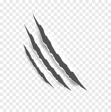 Black claw scratches - vector isolated. Claws scratches animal claw tracks cat Stock Illustration
