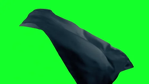 Black Cloak In Wind Green Screen Element Stock Footage 344453036