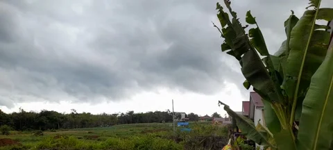 Black cloud 動画素材 207385828